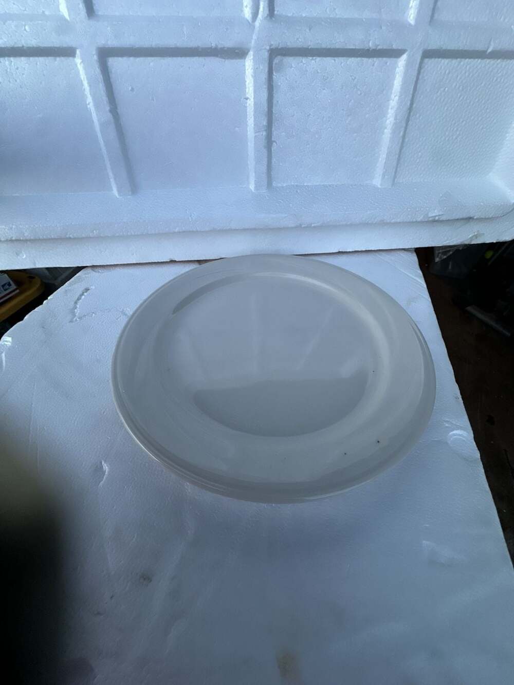 Direct Supply Maxwell Thomas White Rimmed Ceramic Dinner Plate